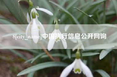 莱阳中国执行信息公开网询
