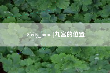 莱阳九宫的位置