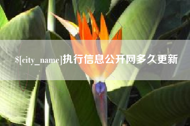 莱阳执行信息公开网多久更新