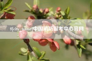 莱阳中国消防报考中心官网