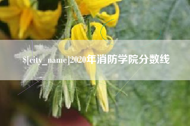 莱阳2020年消防学院分数线