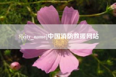 莱阳中国消防救援网站