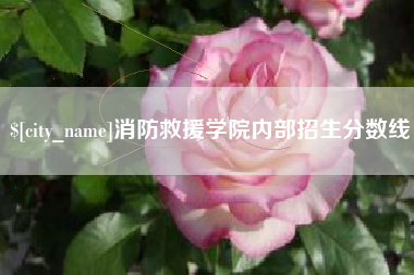 莱阳消防救援学院内部招生分数线