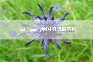 莱阳全国消防招考网