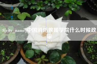 莱阳中国消防救援学院什么时候政审