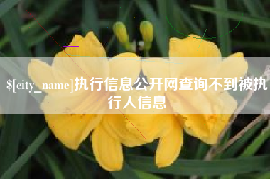 莱阳执行信息公开网查询不到被执行人信息