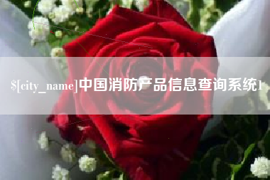 莱阳中国消防产品信息查询系统1