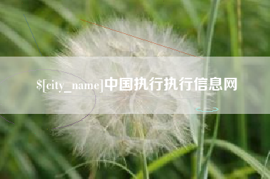 莱阳中国执行执行信息网