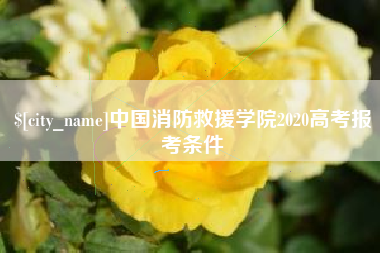 莱阳中国消防救援学院2020高考报考条件
