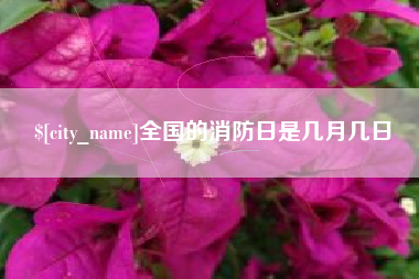莱阳全国的消防日是几月几日