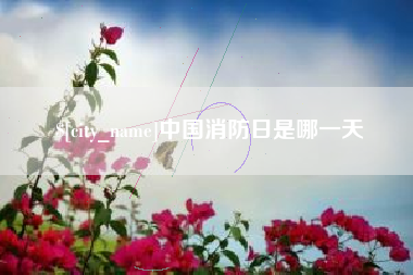 莱阳中国消防日是哪一天