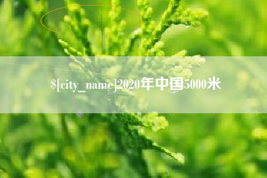 莱阳2020年中国5000米