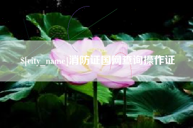 莱阳消防证国网查询操作证