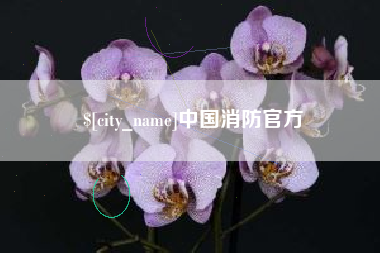 莱阳中国消防官方