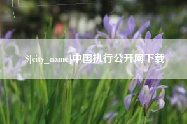 莱阳中国执行公开网下载