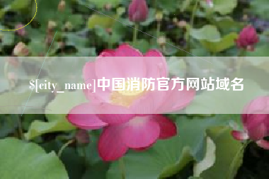 莱阳中国消防官方网站域名