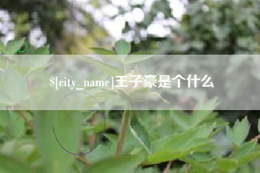 莱阳王子豪是个什么