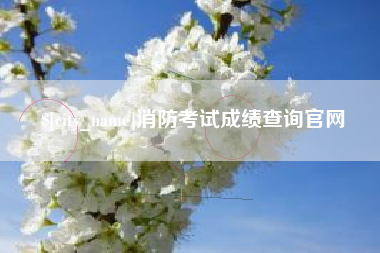 莱阳消防考试成绩查询官网
