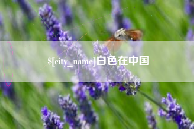 莱阳白色在中国