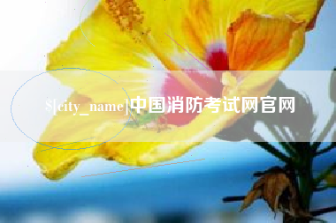 莱阳中国消防考试网官网