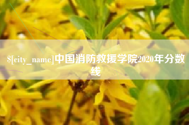 莱阳中国消防救援学院2020年分数线