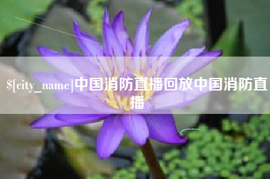 莱阳中国消防直播回放中国消防直播