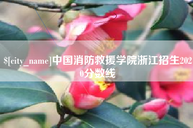 莱阳中国消防救援学院浙江招生2020分数线