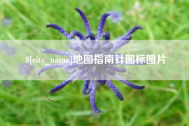 莱阳地图指南针图标图片