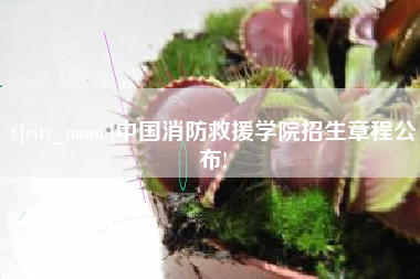 莱阳中国消防救援学院招生章程公布!