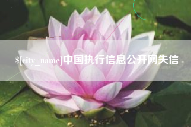 莱阳中国执行信息公开网失信