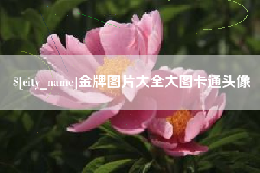 莱阳金牌图片大全大图卡通头像