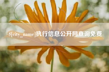 莱阳执行信息公开网查询免费