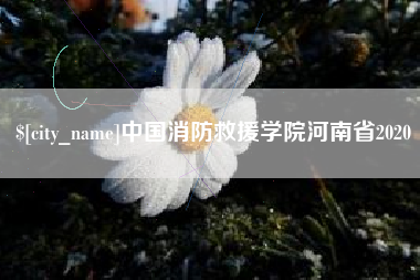 莱阳中国消防救援学院河南省2020